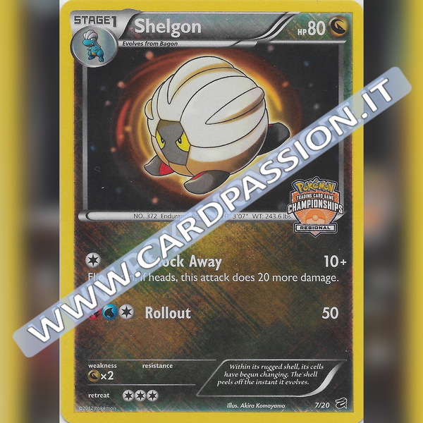 07/20 Shelgon Holo Stamped Regional Championship (Mint) | Dragon Vault (ENG)