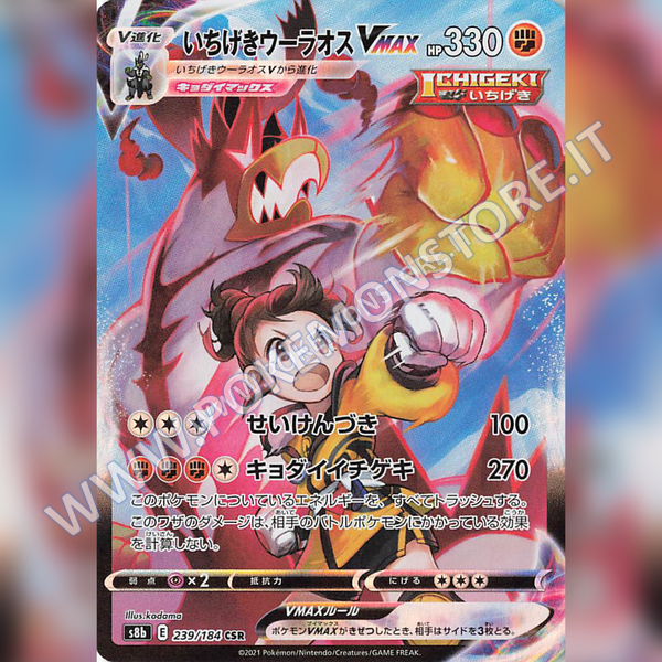 Torino Comics Carte Pokémon  - Carte, Box, Bustine, prodotti Vintage