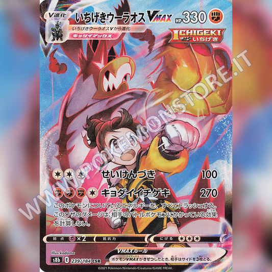 Torino Comics Carte Pokémon  - Carte, Box, Bustine, prodotti Vintage