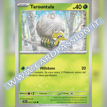 017/198 Tarountula | Scarlatto e Violetto