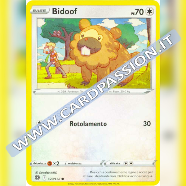 120/172 Bidoof | Astri Lucenti - Card Passion
