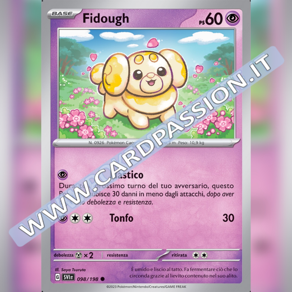 098/198 Fidough | Scarlatto e Violetto