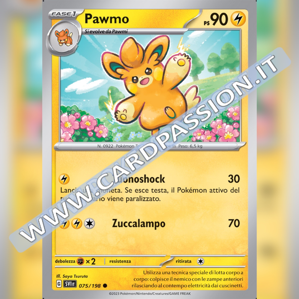 075/198 Pawmo | Scarlatto e Violetto