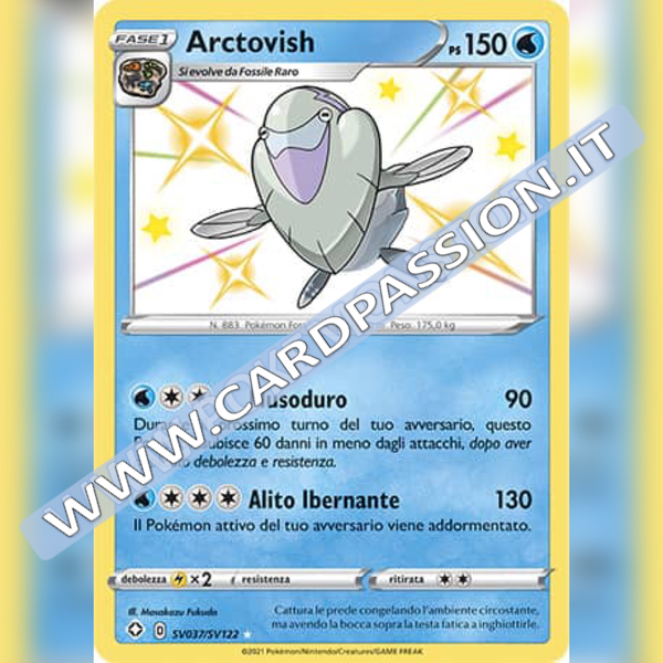 SV037/SV122 Arctovish Baby Shiny | Destino Splendente - Card Passion