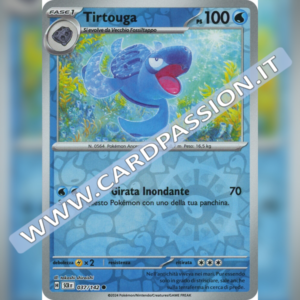 037/142 Tirtouga Reverse | Corona Astrale