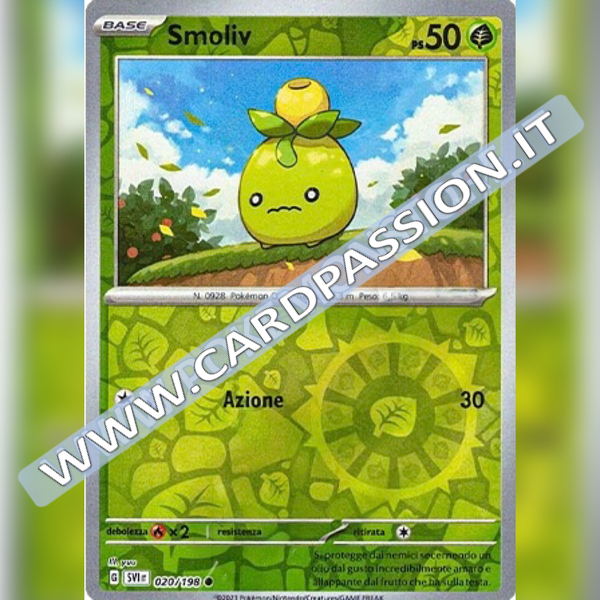 020/198 Smoliv Reverse | Scarlatto e Violetto