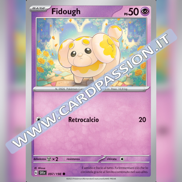097/198 Fidough | Scarlatto e Violetto