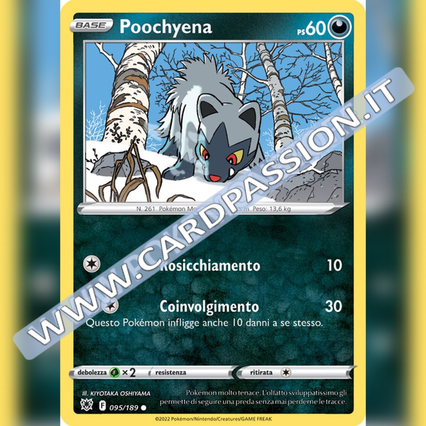 095/189 Poochyena Comune | Lucentezza Siderale - Card Passion