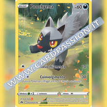 GG33/GG70 Poochyena Galleria di Galar | Zenit Regale