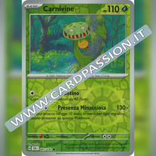 007/142 Carnivine Reverse | Corona Astrale