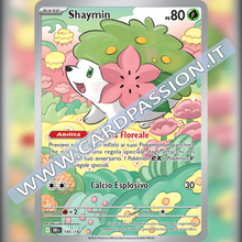 185/182 Shaymin Illustrazione Rara | Rivali Predestinati