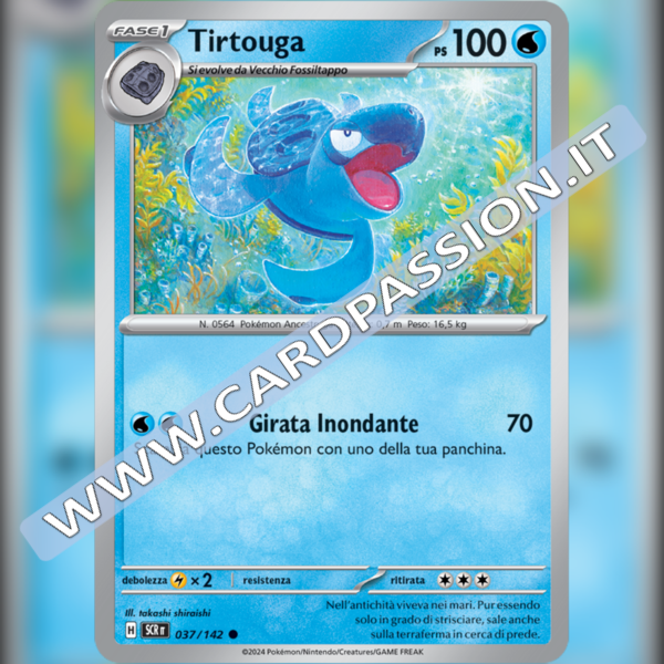 037/142 Tirtouga | Corona Astrale
