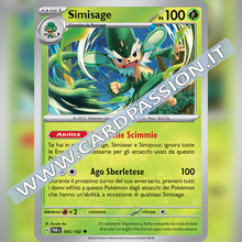 005/182 Simisage | Paradosso Temporale