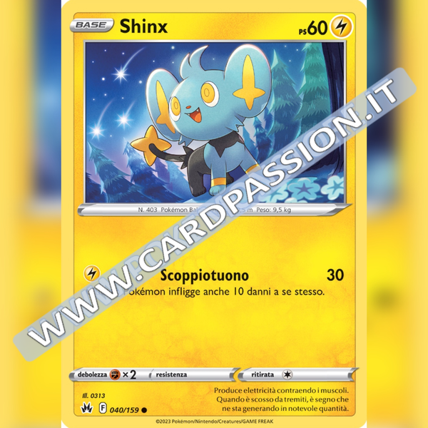 040/159 Shinx | Zenit Regale