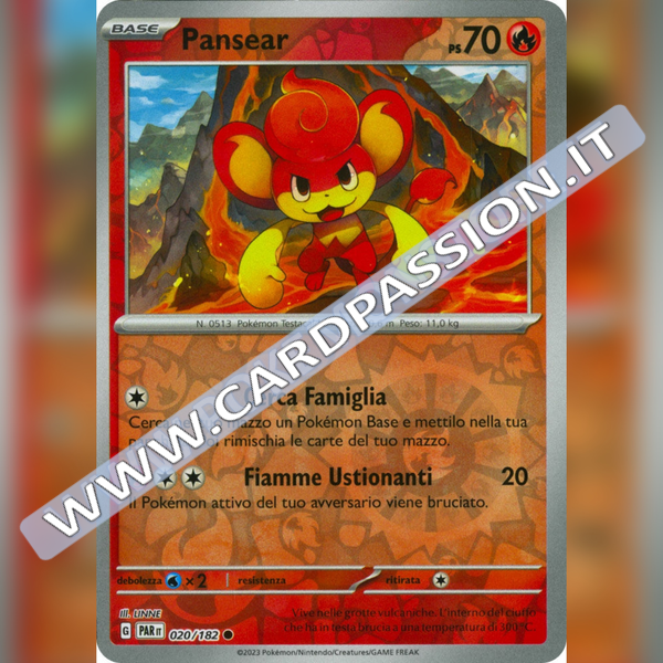 020/182 Pansear Reverse | Paradosso Temporale