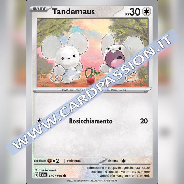 159/198 Tandemaus | Scarlatto e Violetto