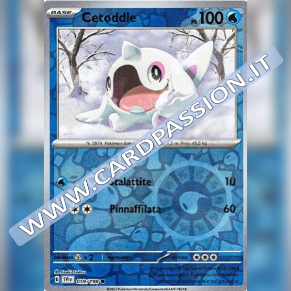 059/198 Cetoddle Reverse | Scarlatto e Violetto
