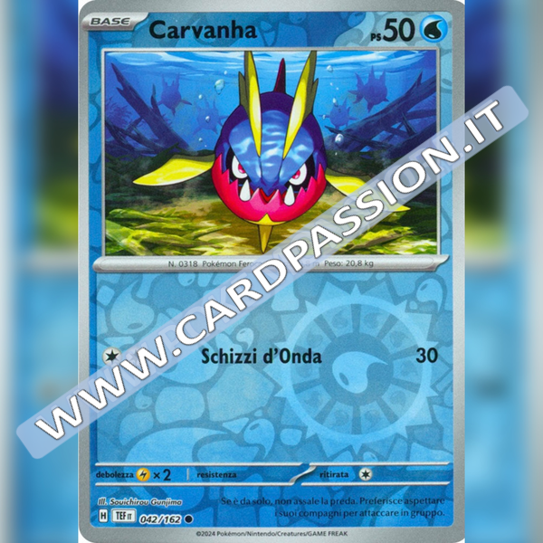 042/162 Carvahna Reverse | Cronoforze