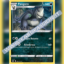 080/159 Pangoro | Zenit Regale