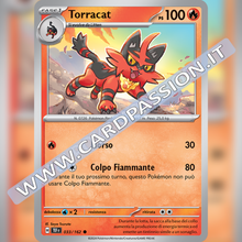 033/162 Torracat | Cronoforze