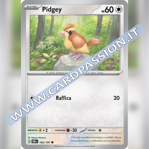 162/197 Pidgey | Ossidiana Infuocata