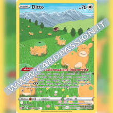 GG22/GG70 Ditto Galleria di Galar | Zenit Regale