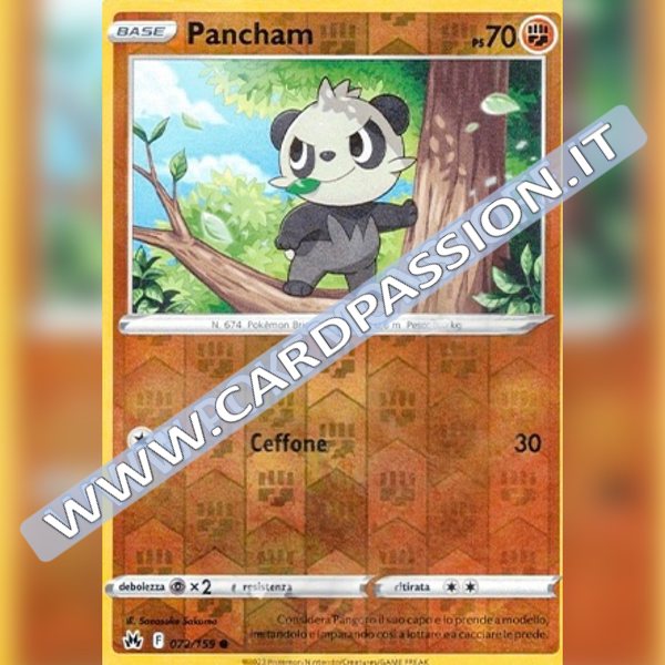 072/159 Pancham Reverse | Zenit Regale