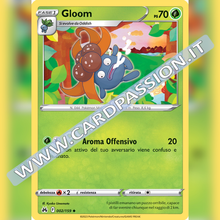 002/159 Gloom | Zenit Regale