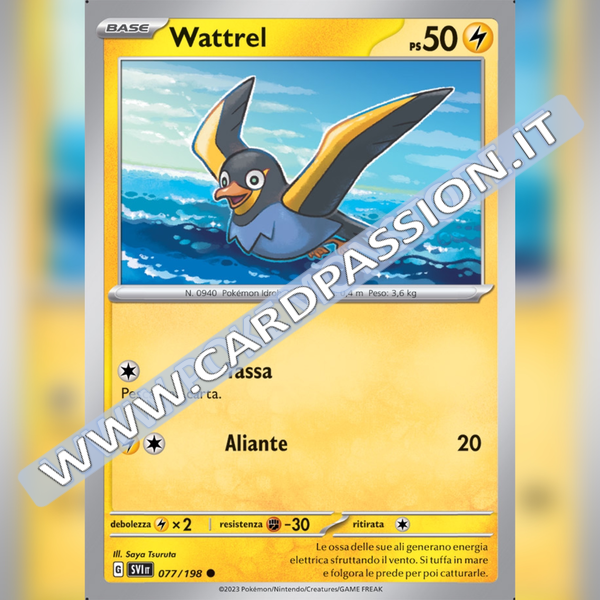 077/198 Wattrel | Scarlatto e Violetto