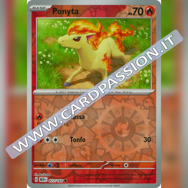 077/165 Ponita Reverse | Scarlatto e Violetto 151
