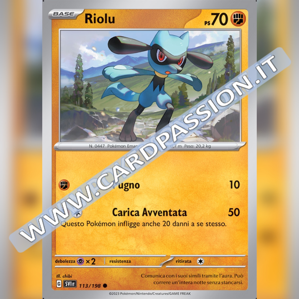 113/198 Riolu | Scarlatto e Violetto