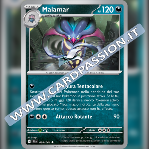 034/064 Malamar | Segreto Fiabesco