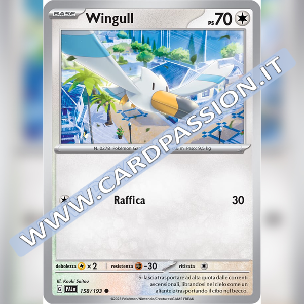 158/193 Wingull | Evoluzioni a Paldea
