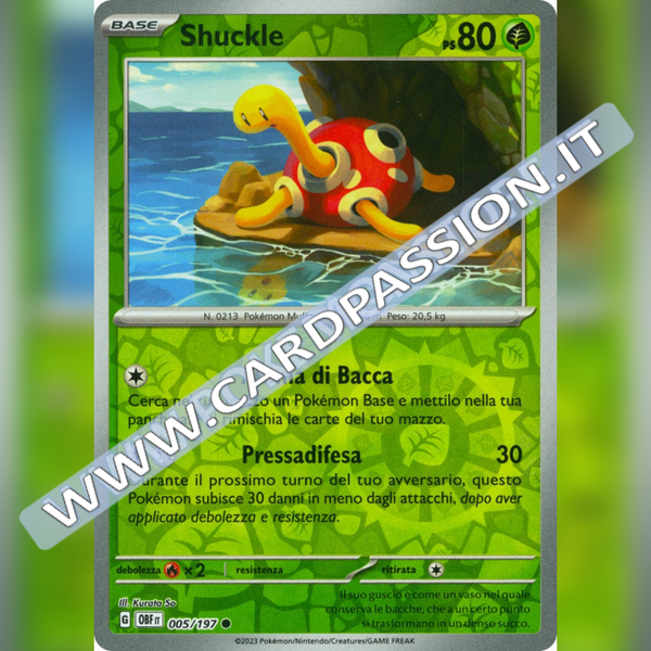 005/197 Shuckle Reverse | Ossidiana Infuocata