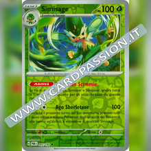 005/182 Simisage Reverse | Paradosso Temporale