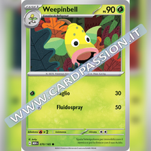 070/165 Weepinbell | Scarlatto e Violetto 151