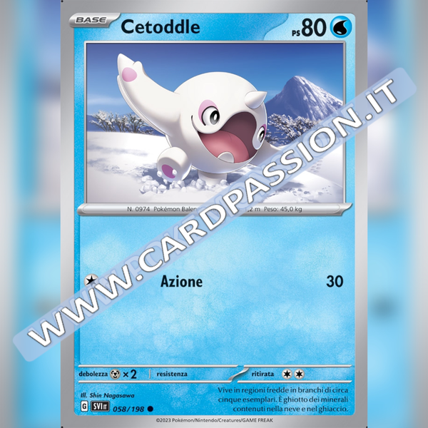 058/198 Cetoddle | Scarlatto e Violetto