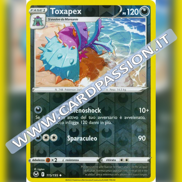 115/195 Toxapex Reverse | Tempesta Argentata