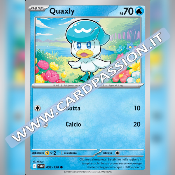 052/198 Quaxly | Scarlatto e Violetto