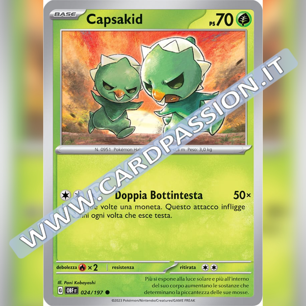 024/197 Capsakid | Ossidiana Infuocata