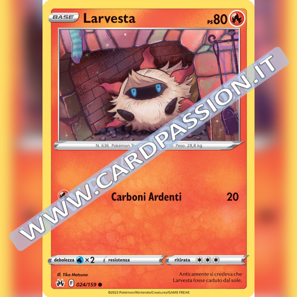 024/159 Larvesta | Zenit Regale