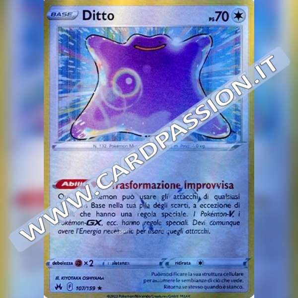 107/159 Ditto Reverse | Zenit Regale