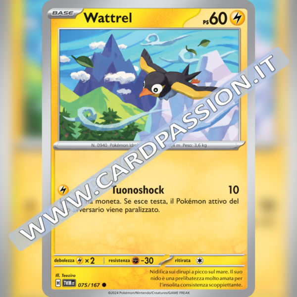 075/167 Wattrel | Crepuscolo Mascherato