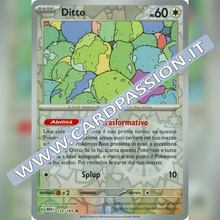 132/165 Ditto Reverse | Scarlatto e Violetto 151