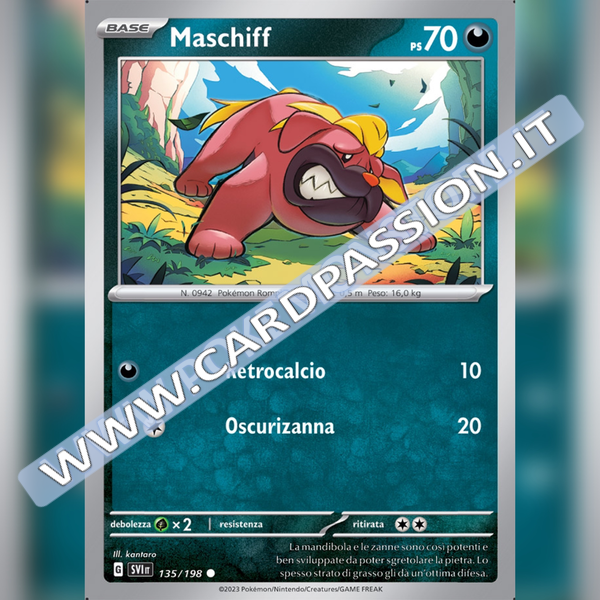 135/198 Maschiff | Scarlatto e Violetto