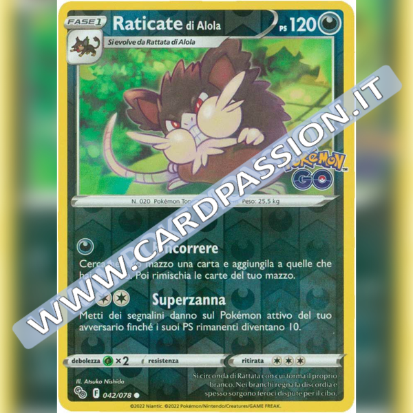 042/078 Raticate di Alola Comune Reverse | Pokemon GO - Card Passion