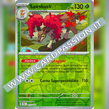 017/162 Sawsbuck Reverse | Cronoforze