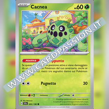 005/198 Cacnea | Scarlatto e Violetto