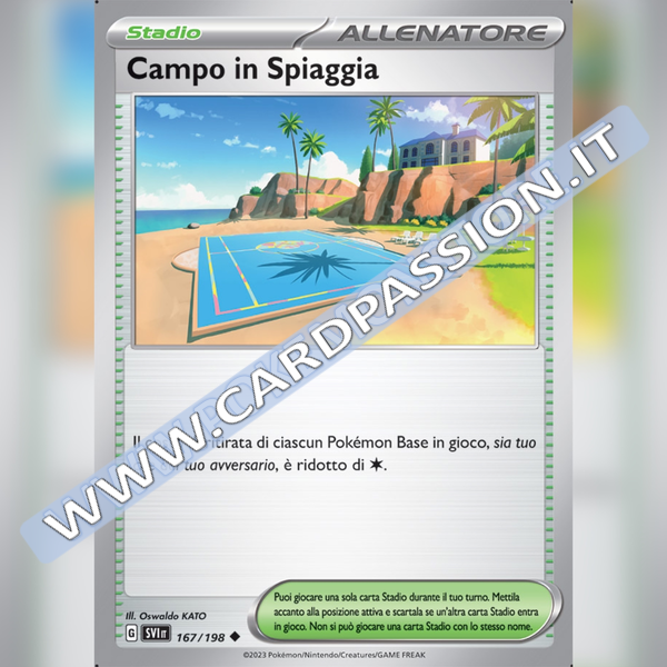 167/198 Campo in Spiaggia | Scarlatto e Violetto