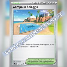 167/198 Campo in Spiaggia | Scarlatto e Violetto